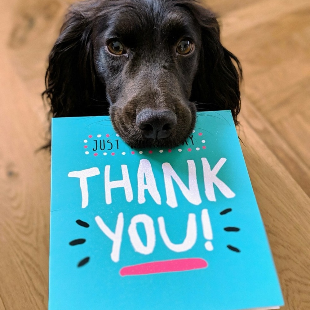 Thank you